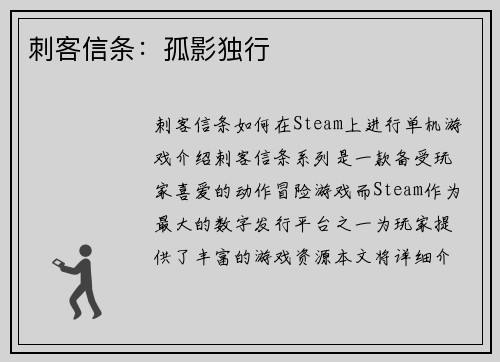 刺客信条：孤影独行